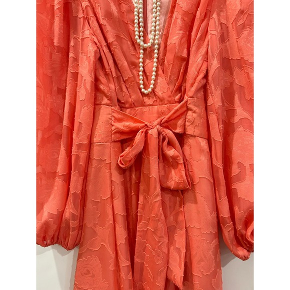 Alex Marie Simone Coral V Neck long sleeve tie waist Sizes 2, 4 NWT Spring - Picture 4 of 9